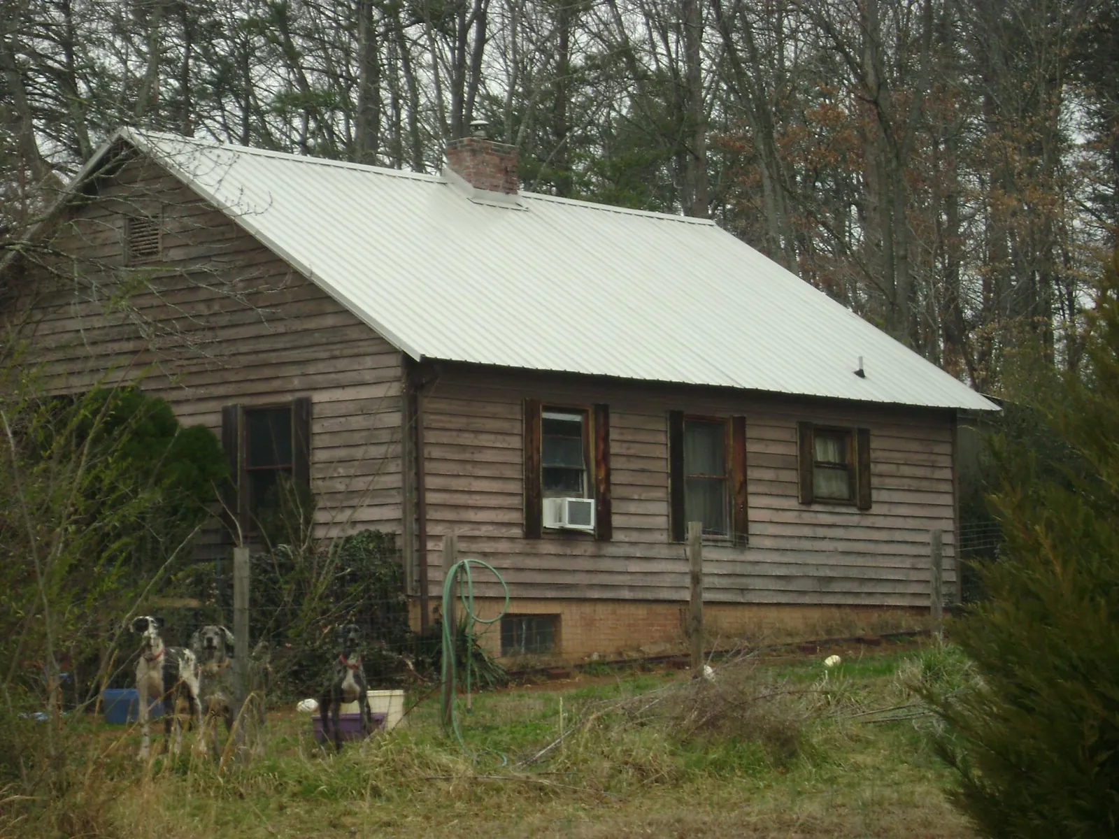 White metal roof on an old wood sided farmhouse, from a Asphalt Shingle Roof Repair job in South Deerfield